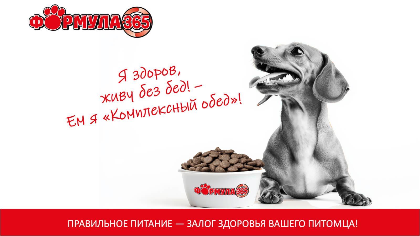 купить Сухой корм ФОРМУЛА 365 КОМПЛЕКСНЫЙ ОБЕД для взрослых собак средних и крупных пород с телятиной, кроликом и рисом с бесплатной доставкой в Калининграде купить Сухой корм ФОРМУЛА 365 КОМПЛЕКСНЫЙ ОБЕД для взрослых собак средних и крупных пород с телятиной, кроликом и рисом с бесплатной доставкой в Калининграде