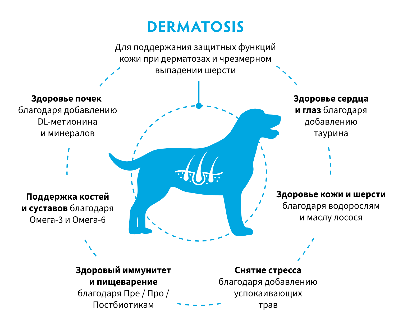 купить корм Grandorf Vet Dermatosis для собак в Калининграде
