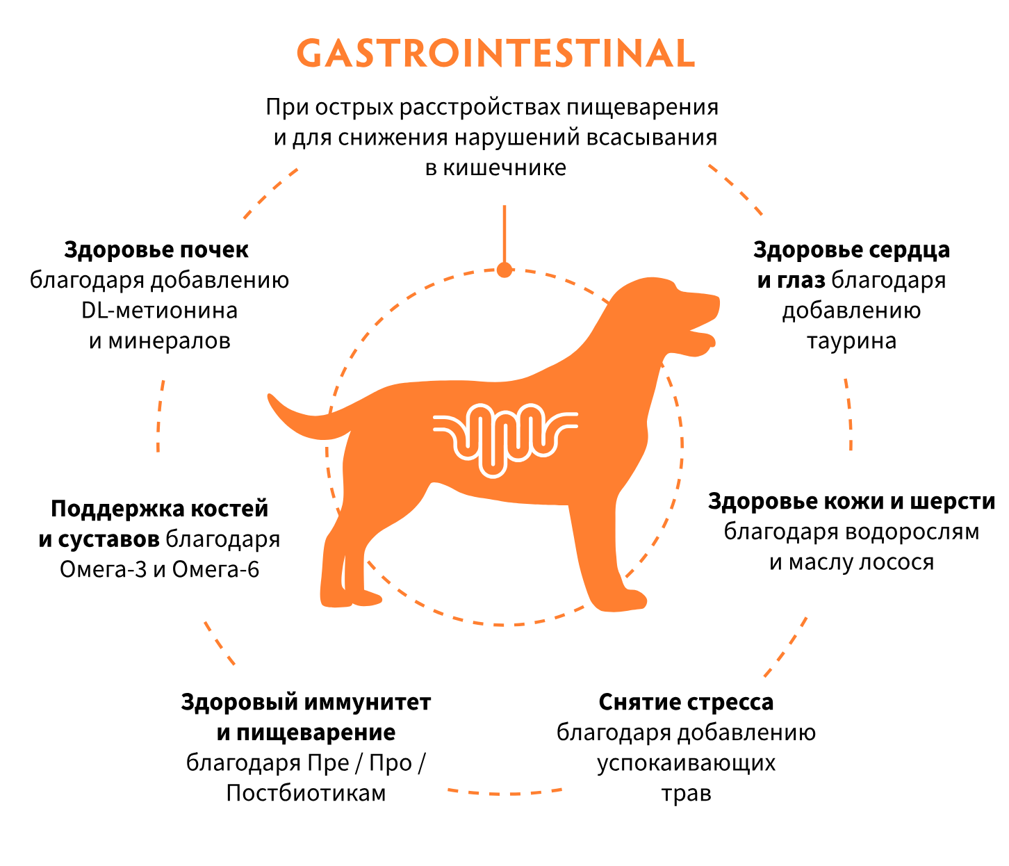 купить Grandorf Vet Gastrointestinal для собак в Калининграде купить корм Grandorf Vet Gastrointestinal для собак в Калининграде