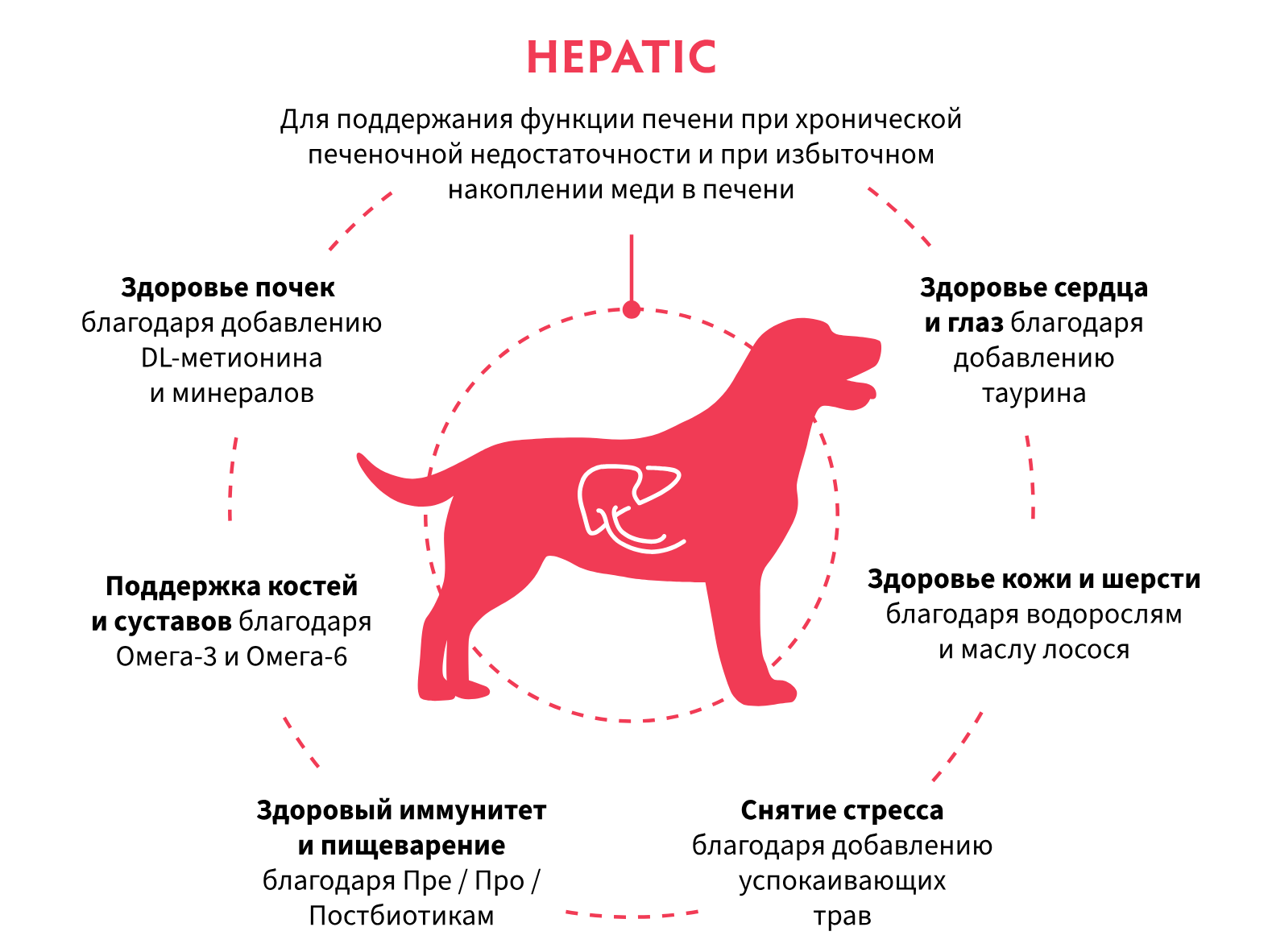 купить корм Grandorf Vet HEPATIC для собак в Калининграде