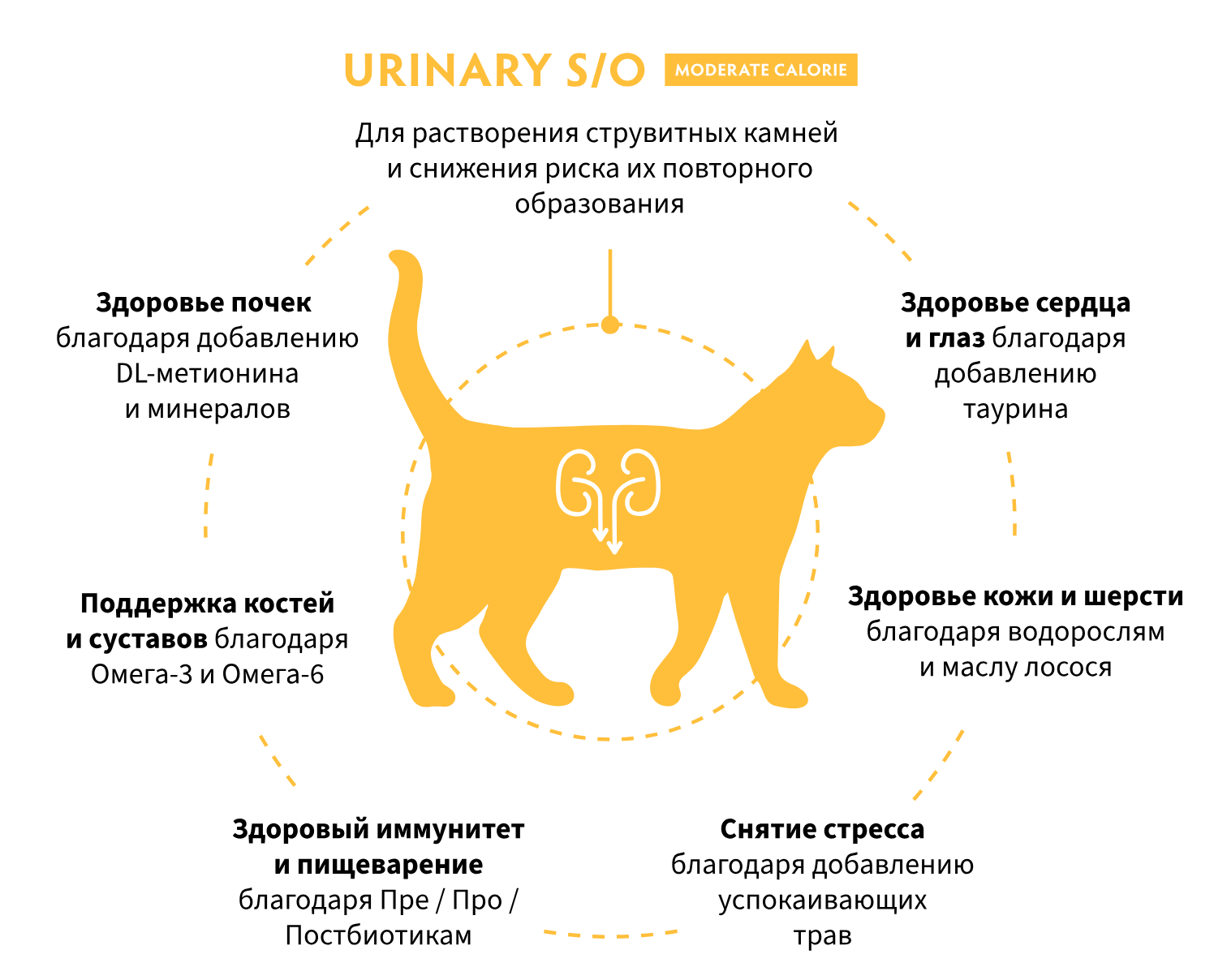 купить корм Grandorf Vet URINARY S/O moderate calorie для кошек в Калининграде