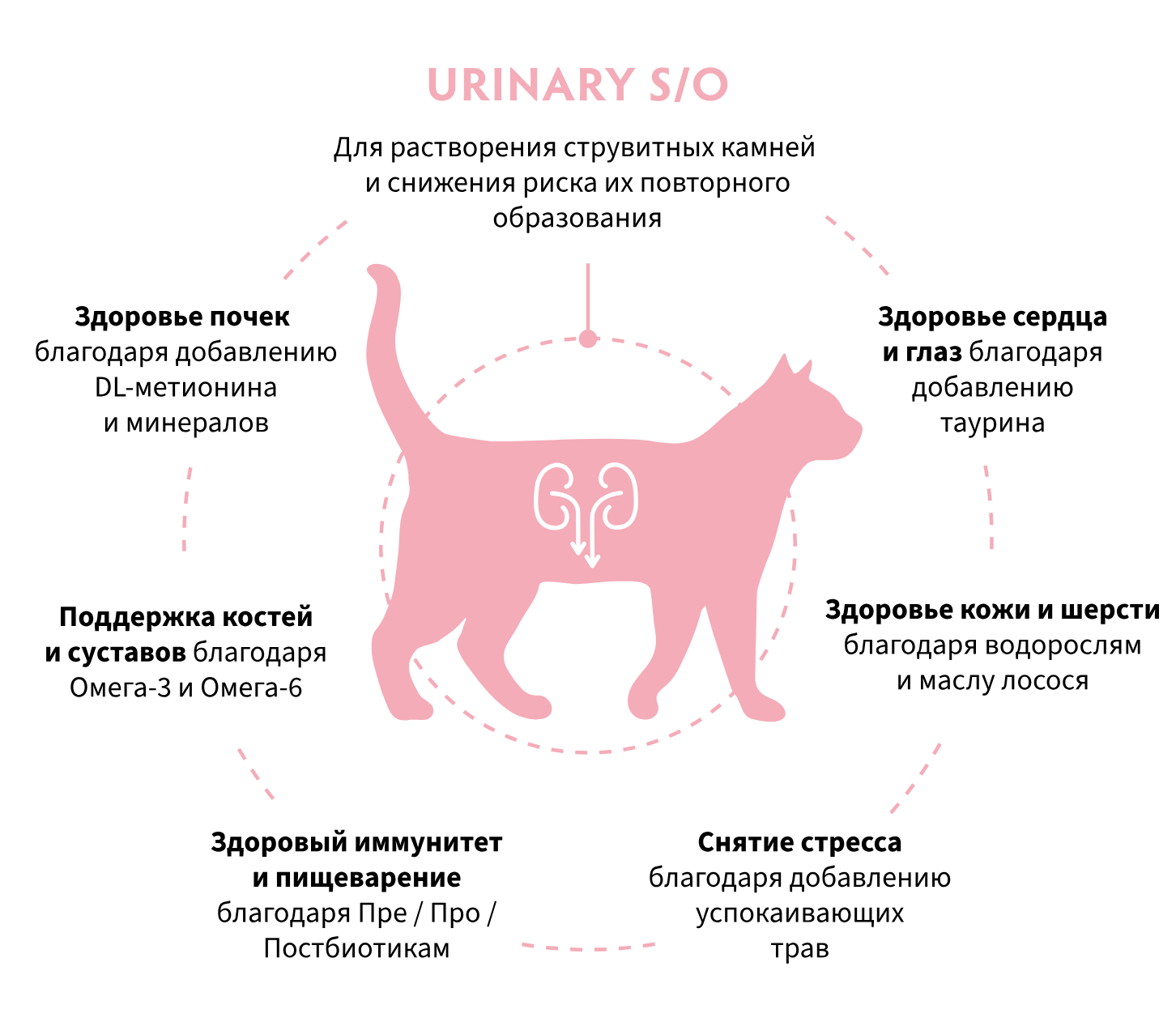 купить корм Grandorf Vet URINARY S/O для кошек в Калининграде