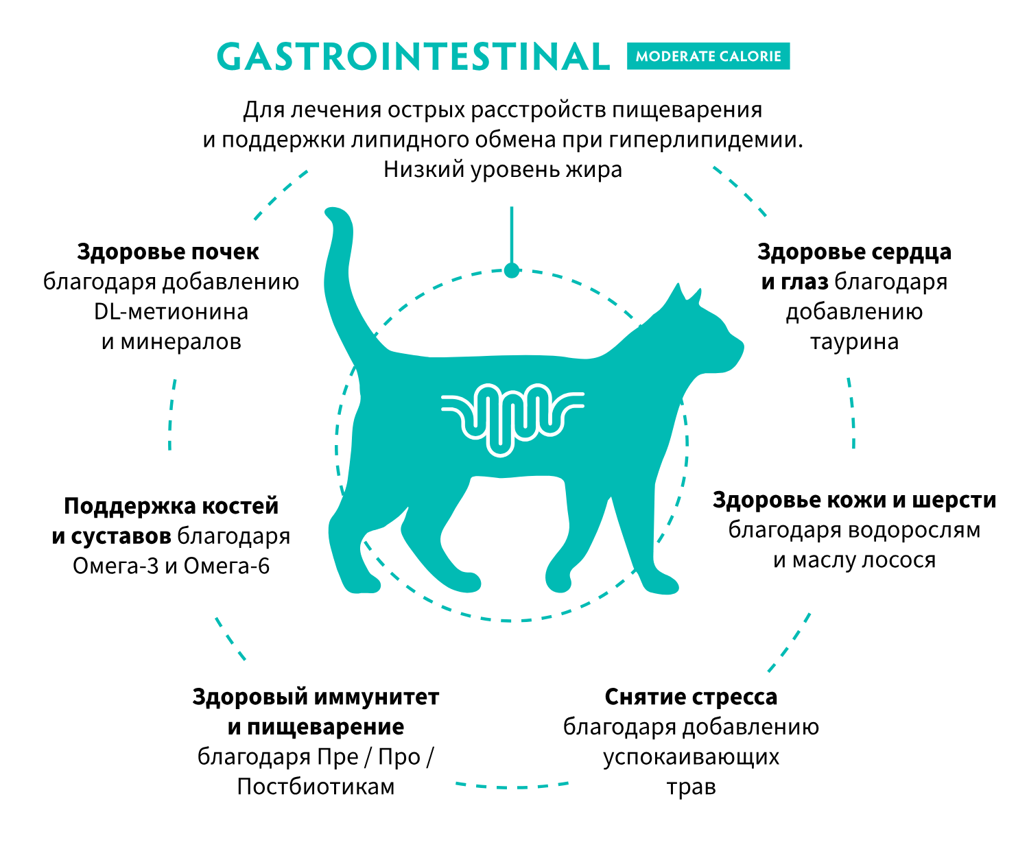 купить Grandorf Vet Gastrointestinal moderate calorie Диетический при гиперлипидемии и острых расстройствах пищеварения, с индейкой для кошек в Калининграде
