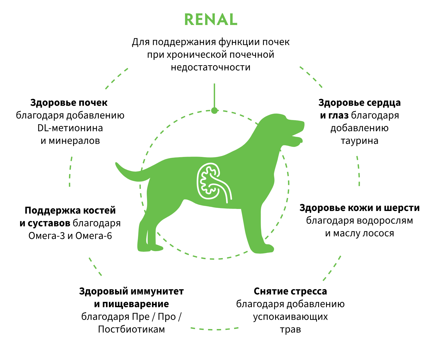 купить корм Grandorf Vet RENAL для собак в Калининграде