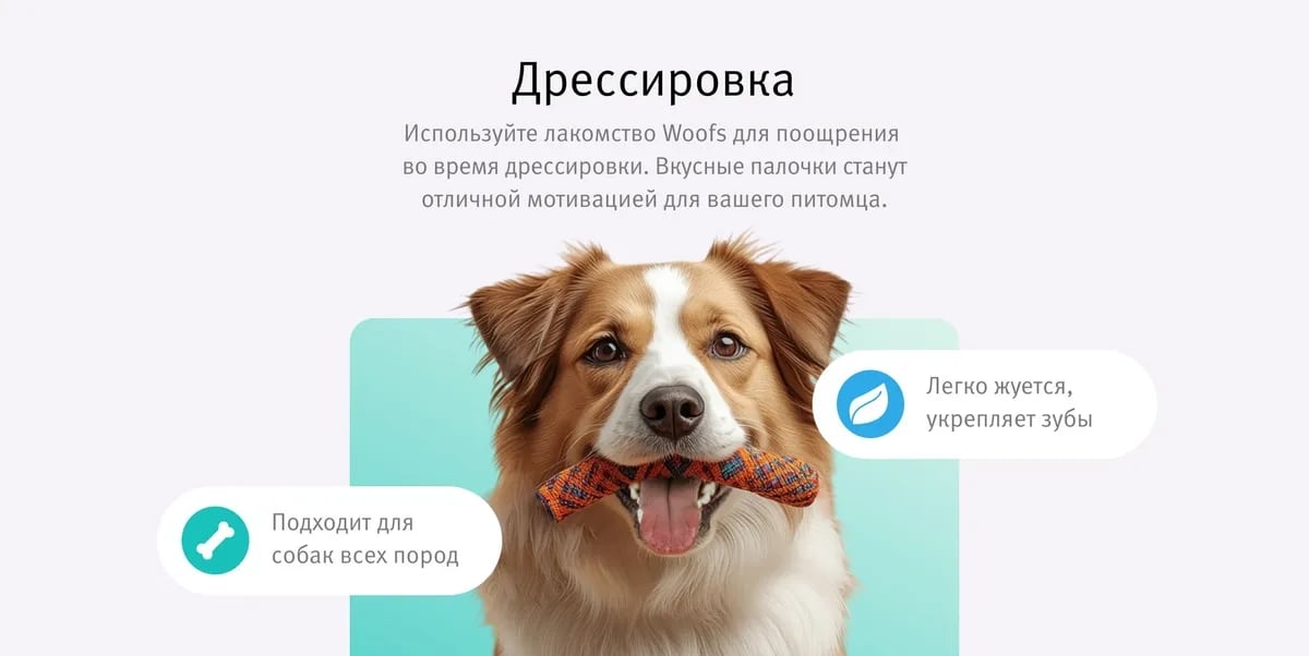 купить РЫБНОЕ ЛАКОМСТВО WOOFS ДЛЯ СОБАК (СУШЕНОЕ) с доставкой в Калининграде купить РЫБНОЕ ЛАКОМСТВО WOOFS ДЛЯ СОБАК (СУШЕНОЕ) с доставкой в Калининграде