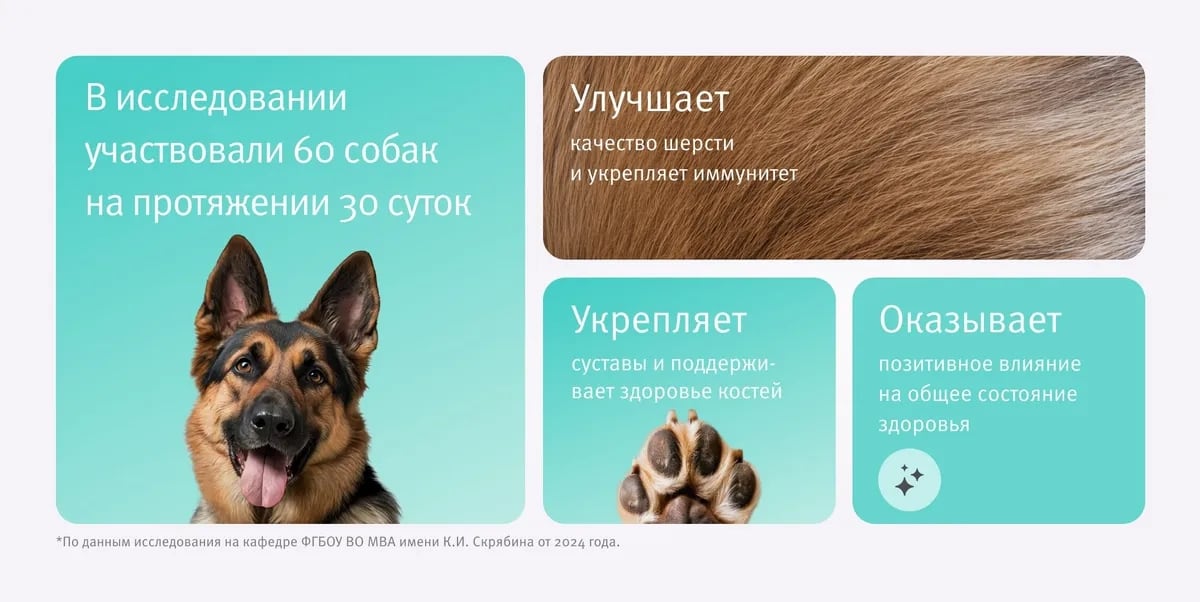 кожа трески атлантической 100 % кожа трески атлантической 100 %