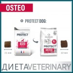 Купить Сухой корм Для собак Pro-Nutrition Flatazor Protect Osteo, 2 кг Flatazor в Калиниграде с доставкой (фото 2)