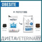 Купить Сухой корм Для собак Pro-Nutrition Flatazor Protect Obesite, 2 кг Flatazor в Калиниграде с доставкой (фото 2) Купить Сухой корм Для собак Pro-Nutrition Flatazor Protect Obesite, 2 кг Flatazor в Калиниграде с доставкой (фото 2)