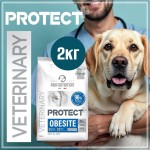 Купить Сухой корм Для собак Pro-Nutrition Flatazor Protect Obesite, 2 кг Flatazor в Калиниграде с доставкой (фото 1) Купить Сухой корм Для собак Pro-Nutrition Flatazor Protect Obesite, 2 кг Flatazor в Калиниграде с доставкой (фото 1)