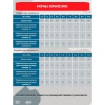 Купить Сухой корм Для собак Pro-Nutrition Flatazor Elite ADULT MINI, 20 кг Flatazor в Калиниграде с доставкой (фото 5)