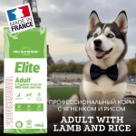 Купить Сухой корм Для собак Pro-Nutrition Flatazor Elite ADULT with lamb and rice, 20 кг Flatazor в Калиниграде с доставкой (фото 1) Купить Сухой корм Для собак Pro-Nutrition Flatazor Elite ADULT with lamb and rice, 20 кг Flatazor в Калиниграде с доставкой (фото 1)