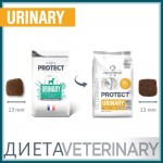 Купить Сухой корм Для собак Pro-Nutrition Flatazor Protect Urinary, 2 кг Flatazor в Калиниграде с доставкой (фото 2) Купить Сухой корм Для собак Pro-Nutrition Flatazor Protect Urinary, 2 кг Flatazor в Калиниграде с доставкой (фото 2)