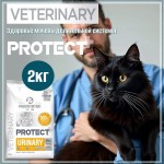 Купить Pro-Nutrition Flatazor PROTECT URINARY сухой супер-премиум корм для кошек при МКБ, 2 кг Flatazor в Калиниграде с доставкой (фото 1)