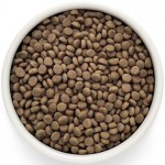 Купить Сухой корм Grandorf Vet Gastrointestinal moderate calorie Диетический при гиперлипидемии и острых расстройствах пищеварения, с индейкой для кошек 2 кг Grandorf в Калиниграде с доставкой (фото 1)