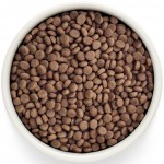 Купить Сухой корм Grandorf Vet Gastrointestinal Диетический при расстройствах кишечника, с индейкой для кошек 2 кг Grandorf в Калиниграде с доставкой (фото 1) Купить Сухой корм Grandorf Vet Gastrointestinal Диетический при расстройствах кишечника, с индейкой для кошек 2 кг Grandorf в Калиниграде с доставкой (фото 1)