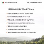 Купить Монопротеиновый влажный корм GRANDORF FRESH из ягненка с цукини и цветной капустой для собак всех пород, 200 гр Grandorf в Калиниграде с доставкой (фото 3)