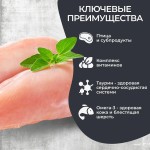 Купить Сухой корм для стерилизованных кошек Снежок курица, индейка 10 кг Снежок в Калиниграде с доставкой (фото 1)