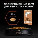 Купить Сухой корм PRO PLAN® Sterilised VITAL FUNCTIONS для стерилизованных кошек для поддержания функций почек, мозга и иммунитета с лососем, 400 гр Pro Plan в Калиниграде с доставкой (фото 10)
