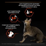 Купить Сухой корм PRO PLAN® Sterilised VITAL FUNCTIONS для стерилизованных кошек для поддержания функций почек, мозга и иммунитета с лососем, 400 гр Pro Plan в Калиниграде с доставкой (фото 11)