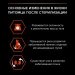 Купить Сухой корм PRO PLAN® Sterilised VITAL FUNCTIONS для стерилизованных кошек для поддержания функций почек, мозга и иммунитета с лососем, 400 гр Pro Plan в Калиниграде с доставкой (фото 5)
