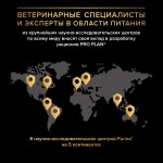 Купить Сухой корм PRO PLAN® Sterilised VITAL FUNCTIONS для стерилизованных кошек для поддержания функций почек, мозга и иммунитета с лососем, 400 гр Pro Plan в Калиниграде с доставкой (фото 12)