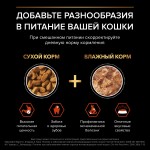 Купить Сухой корм PRO PLAN® Sterilised VITAL FUNCTIONS для стерилизованных кошек для поддержания функций почек, мозга и иммунитета с лососем, 400 гр Pro Plan в Калиниграде с доставкой (фото 7)