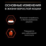Купить Сухой корм PRO PLAN® VITAL FUNCTIONS для взрослых кошек для поддержания функций почек, мозга и иммунитета с лососем, 1,5 кг Pro Plan в Калиниграде с доставкой (фото 5)