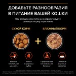 Купить Сухой корм PRO PLAN® VITAL FUNCTIONS для взрослых кошек для поддержания функций почек, мозга и иммунитета с лососем, 1,5 кг Pro Plan в Калиниграде с доставкой (фото 9)