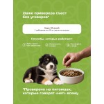 Купить Мультивитамины FeelGOOD с пребиотиком и лизином для щенков, таблетки, № 140 FeelGOOD в Калиниграде с доставкой (фото 5) Купить Мультивитамины FeelGOOD с пребиотиком и лизином для щенков, таблетки, № 140 FeelGOOD в Калиниграде с доставкой (фото 5)