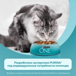 Купить Влажный корм PURINA ONE для стерилизованных кошек и кастрированных котов, с курицей и зеленой фасолью 75 г PURINA ONE в Калиниграде с доставкой (фото 15) Купить Влажный корм PURINA ONE для стерилизованных кошек и кастрированных котов, с курицей и зеленой фасолью 75 г PURINA ONE в Калиниграде с доставкой (фото 15)
