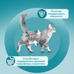 Купить Влажный корм PURINA ONE для стерилизованных кошек и кастрированных котов, с курицей и зеленой фасолью 75 г PURINA ONE в Калиниграде с доставкой (фото 12) Купить Влажный корм PURINA ONE для стерилизованных кошек и кастрированных котов, с курицей и зеленой фасолью 75 г PURINA ONE в Калиниграде с доставкой (фото 12)