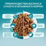 Купить Влажный корм PURINA ONE для стерилизованных кошек и кастрированных котов, с курицей и зеленой фасолью 75 г PURINA ONE в Калиниграде с доставкой (фото 3) Купить Влажный корм PURINA ONE для стерилизованных кошек и кастрированных котов, с курицей и зеленой фасолью 75 г PURINA ONE в Калиниграде с доставкой (фото 3)