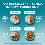 Купить Влажный корм PURINA ONE для стерилизованных кошек и кастрированных котов, с курицей и зеленой фасолью 75 г PURINA ONE в Калиниграде с доставкой (фото 14) Купить Влажный корм PURINA ONE для стерилизованных кошек и кастрированных котов, с курицей и зеленой фасолью 75 г PURINA ONE в Калиниграде с доставкой (фото 14)