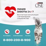 Купить Влажный корм PURINA ONE для стерилизованных кошек и кастрированных котов, с говядиной и морковью 75 г PURINA ONE в Калиниграде с доставкой (фото 8) Купить Влажный корм PURINA ONE для стерилизованных кошек и кастрированных котов, с говядиной и морковью 75 г PURINA ONE в Калиниграде с доставкой (фото 8)
