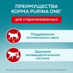 Купить Влажный корм PURINA ONE для стерилизованных кошек и кастрированных котов, с говядиной и морковью 75 г PURINA ONE в Калиниграде с доставкой (фото 11) Купить Влажный корм PURINA ONE для стерилизованных кошек и кастрированных котов, с говядиной и морковью 75 г PURINA ONE в Калиниграде с доставкой (фото 11)