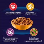 Купить Сухой корм FELIX Мясное объедение для кошек с курицей, 10 кг Felix в Калиниграде с доставкой (фото 3)