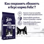 Купить Сухой корм FELIX Мясное объедение для кошек с курицей, 10 кг Felix в Калиниграде с доставкой (фото 13)
