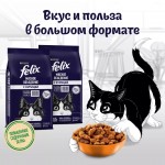 Купить Сухой корм FELIX Мясное объедение для кошек с курицей, 10 кг Felix в Калиниграде с доставкой (фото 14)