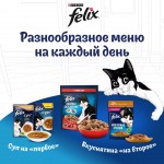 Купить Влажный корм FELIX Двойная Вкуснятина для кошек с говядиной и птицей 75 г Felix в Калиниграде с доставкой (фото 8)