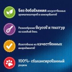 Купить Влажный корм FELIX Двойная Вкуснятина для кошек с говядиной и птицей 75 г Felix в Калиниграде с доставкой (фото 6)