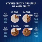 Купить Влажный корм FELIX Двойная Вкуснятина для кошек с говядиной и птицей 75 г Felix в Калиниграде с доставкой (фото 12)