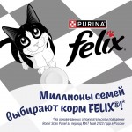Купить Влажный корм FELIX Двойная Вкуснятина для кошек с говядиной и птицей 75 г Felix в Калиниграде с доставкой (фото 13)