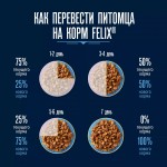 Купить Влажный корм FELIX Вкусный паштет для кошек, со вкусом говядины и ягнёнка, 75 г Felix в Калиниграде с доставкой (фото 10) Купить Влажный корм FELIX Вкусный паштет для кошек, со вкусом говядины и ягнёнка, 75 г Felix в Калиниграде с доставкой (фото 10)