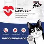 Купить Влажный корм FELIX Суп для кошек с говядиной 48 г Felix в Калиниграде с доставкой (фото 6)