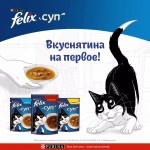 Купить Влажный корм FELIX Суп для кошек с говядиной 48 г Felix в Калиниграде с доставкой (фото 10)