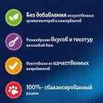 Купить Влажный корм FELIX Суп для кошек с говядиной 48 г Felix в Калиниграде с доставкой (фото 8)