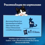 Купить Влажный корм FELIX Суп для кошек с говядиной 48 г Felix в Калиниграде с доставкой (фото 11)