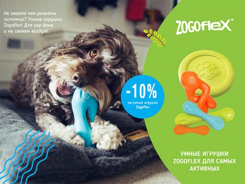 Скидка -10% на игрушки Zogoflex!