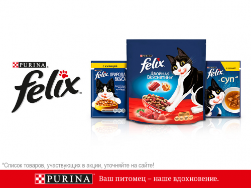 Скидка -20% на Felix