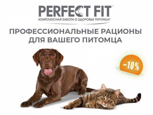 Скидка -10% на паучи Perfect Fit